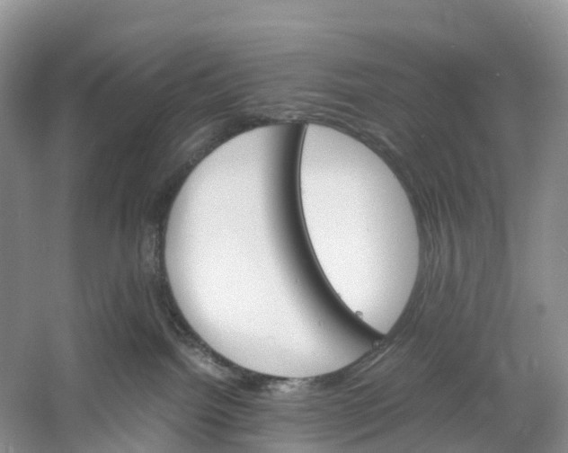 X0000060800092200512011744