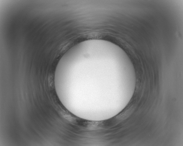 X0000060800096200512011745