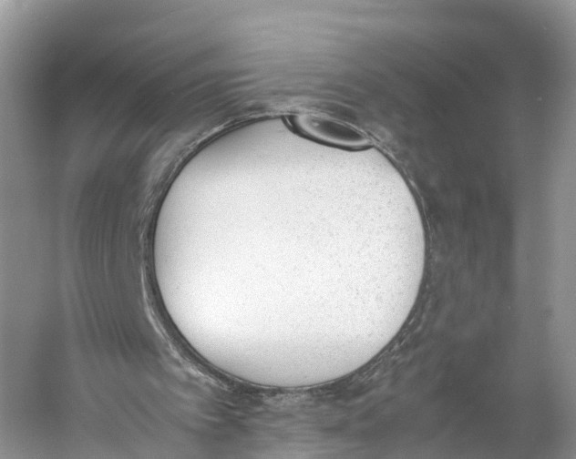 X0000060800097200512011744