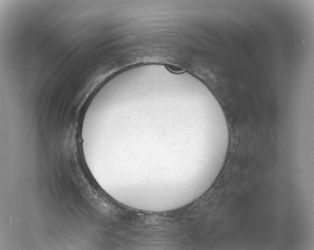 X0000060800098200512011744