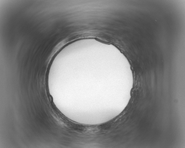 X0000060800099200512011744