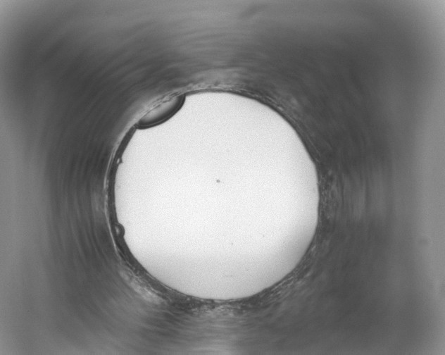 X0000060800100200512011744