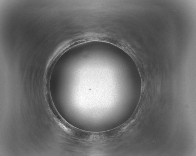 X0000060800101200512011744