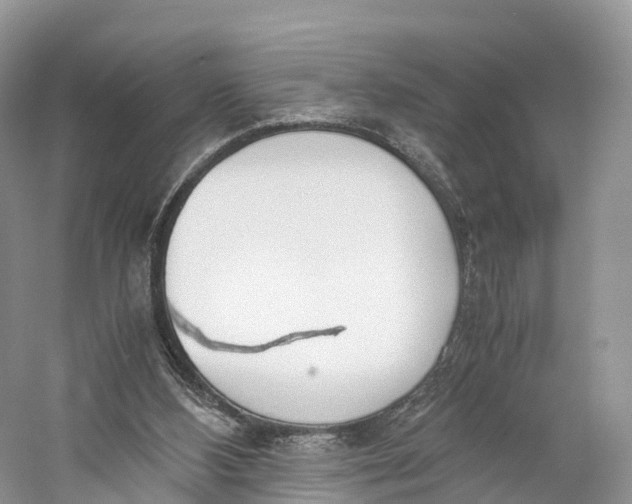 X0000060800108200512011744