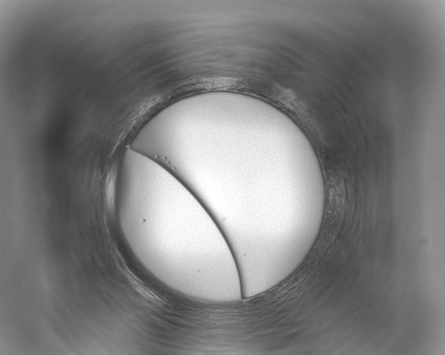 X0000060800110200512011743