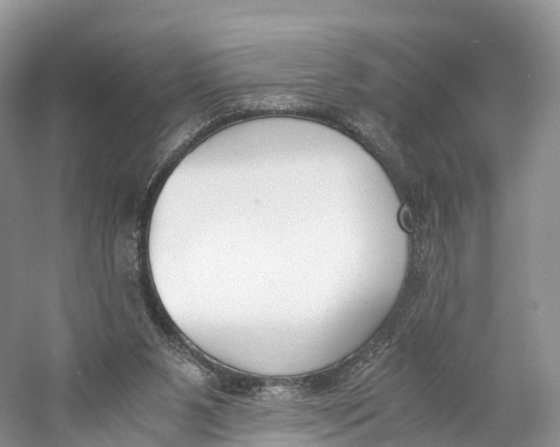 X0000060800111200512011743