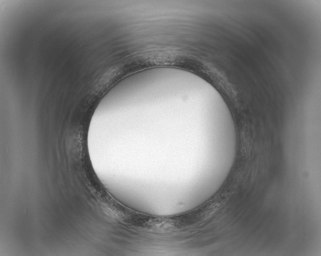 X0000060800113200512011743