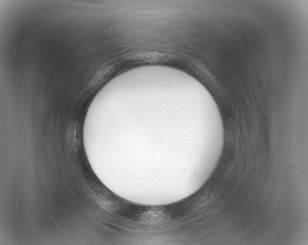 X0000060800119200512011743