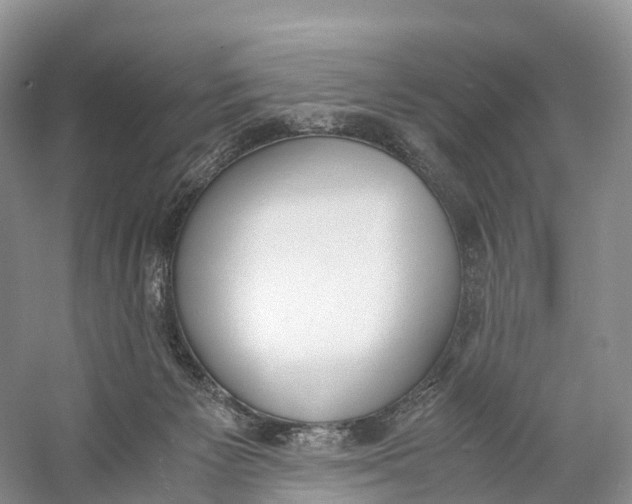 X0000060800125200512011743