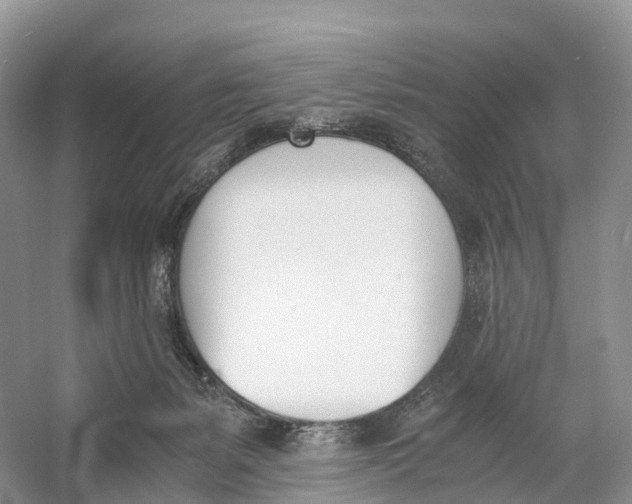 X0000060800127200512011743