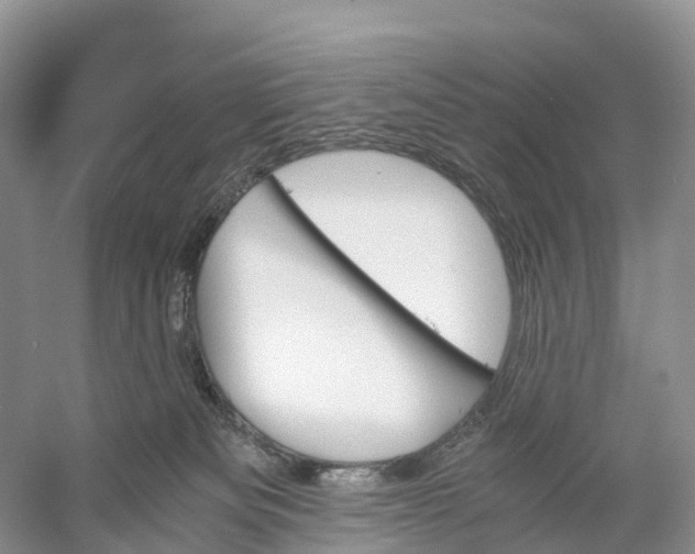 X0000060800133200512011743