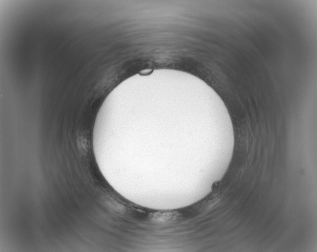 X0000060800135200512011743