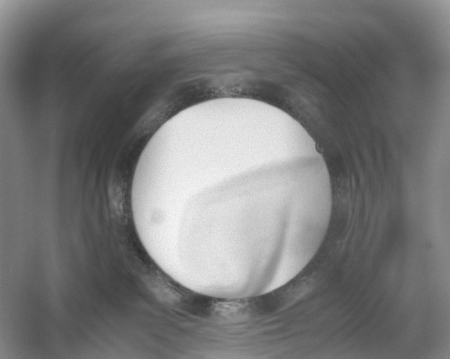 X0000060800139200512011743