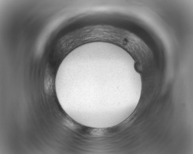 X0000060800142200512011743