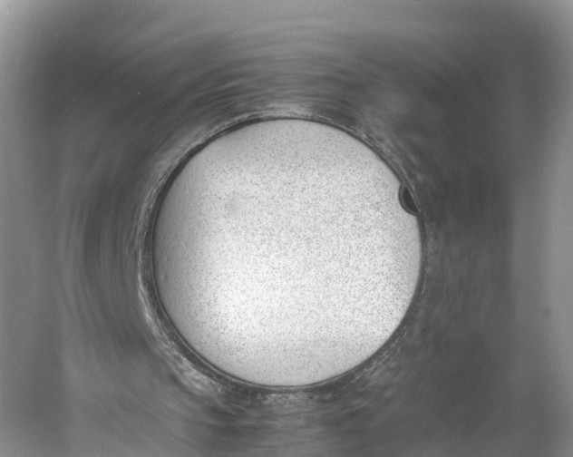 X0000060800145200512011742