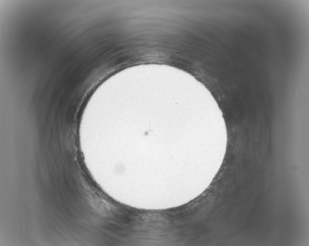 X0000060800146200512011742