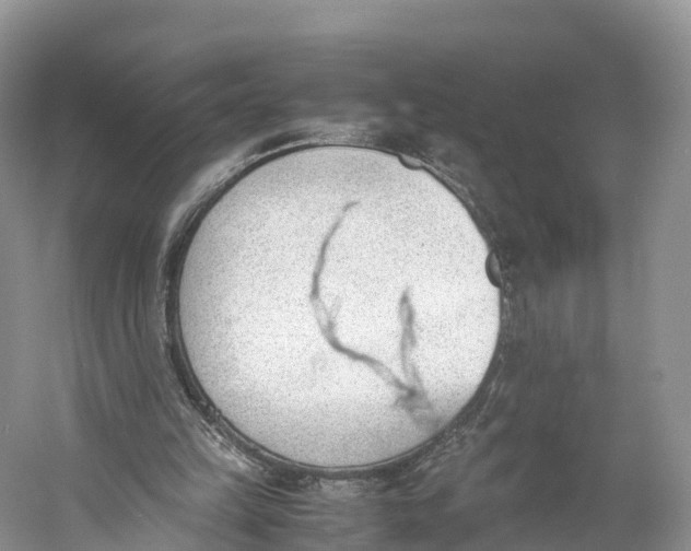 X0000060800149200512011742