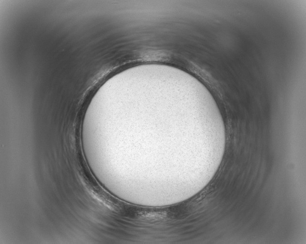 X0000060800155200512011742