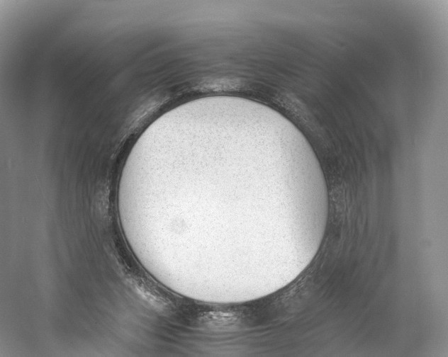 X0000060800159200512011742