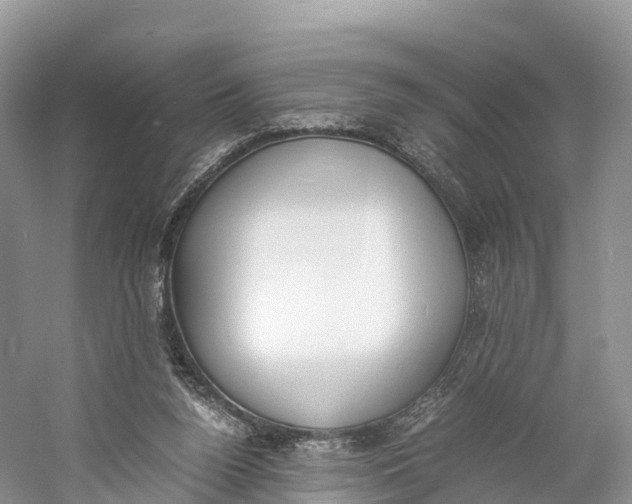 X0000060800160200512011742