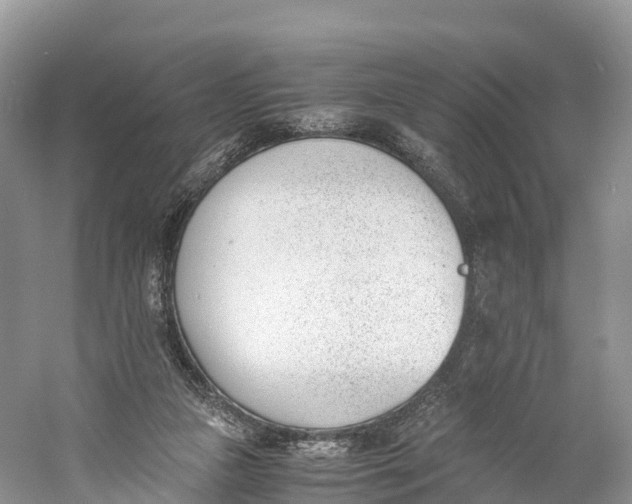 X0000060800161200512011742