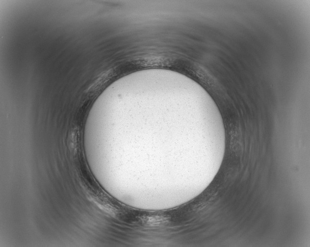 X0000060800165200512011742