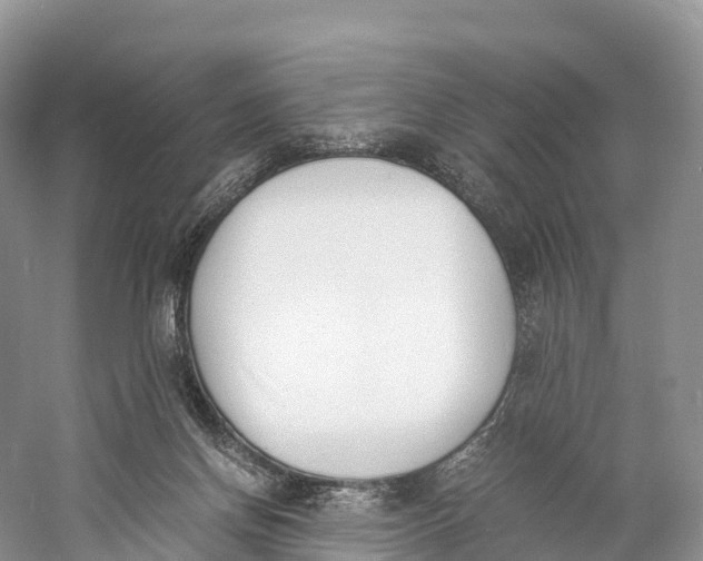 X0000060800166200512011742