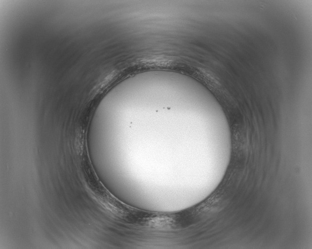 X0000060800168200512011742