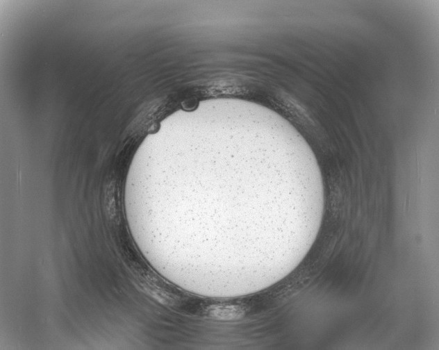 X0000060800169200512011742