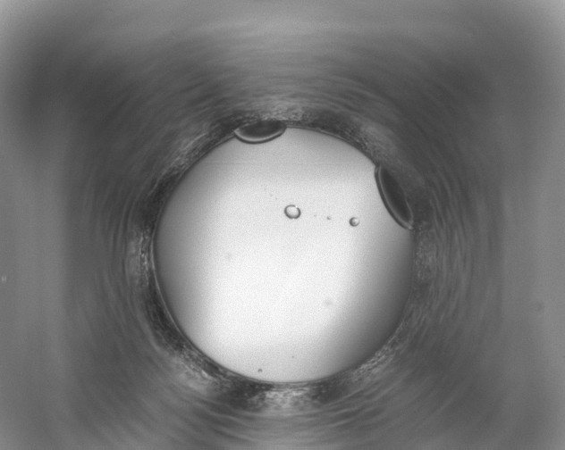 X0000060800172200512011743