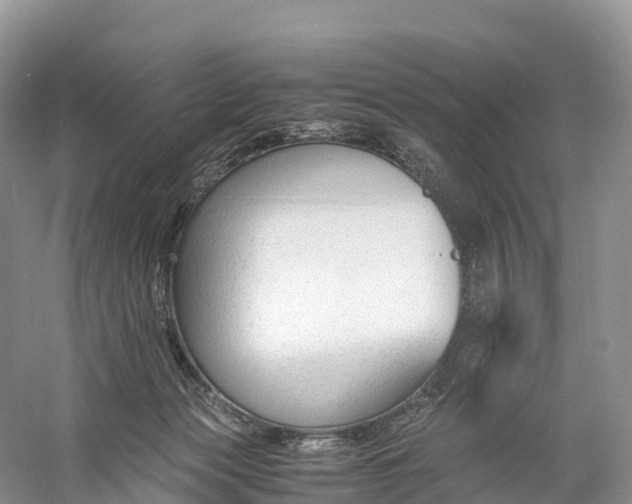 X0000060800173200512011743