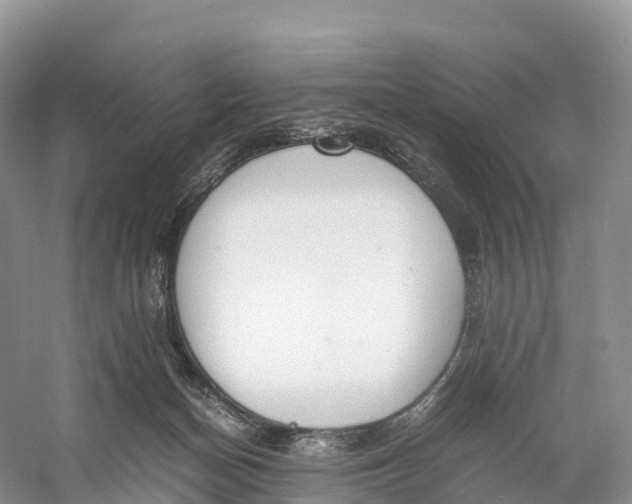 X0000060800174200512011743