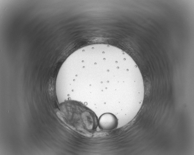 X0000060800179200512011743