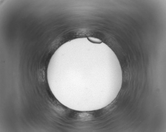 X0000060800183200512011743