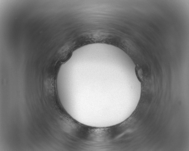 X0000060800184200512011743