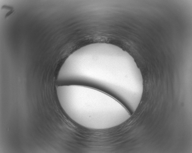 X0000060800185200512011743