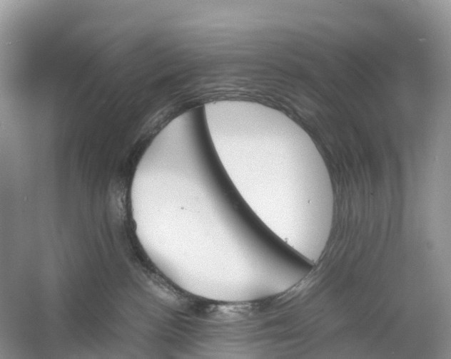 X0000060800188200512011743