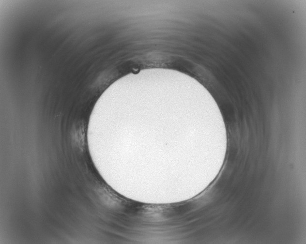 X0000060800190200512011743