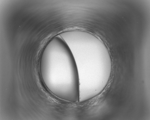 X0000060800193200512011742