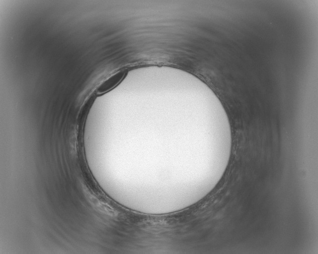 X0000060800194200512011742