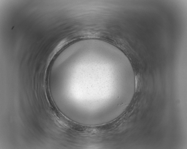 X0000060800195200512011742