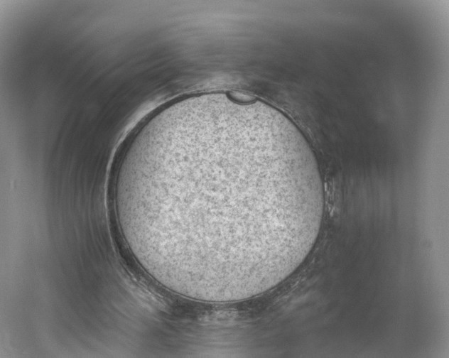 X0000060800196200512011742