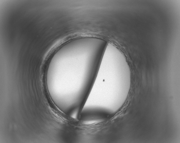 X0000060800197200512011742