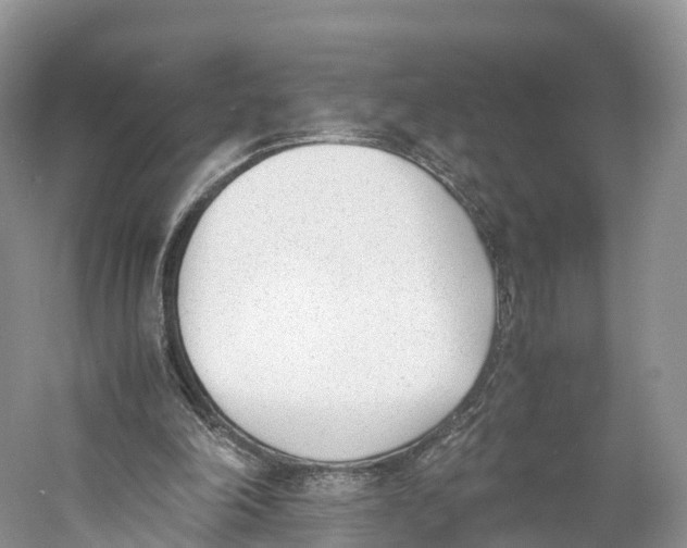 X0000060800198200512011742