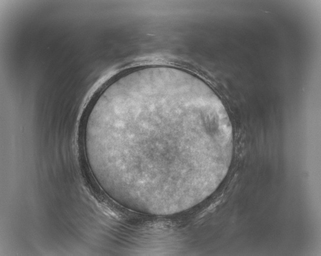 X0000060800200200512011742