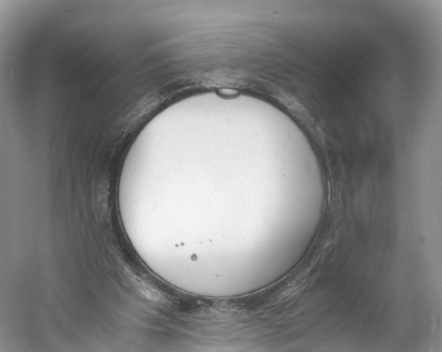 X0000060800201200512011742