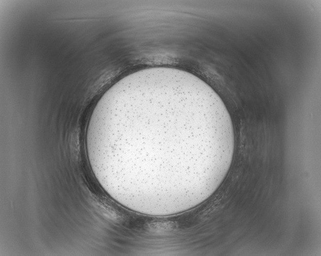 X0000060800202200512011742