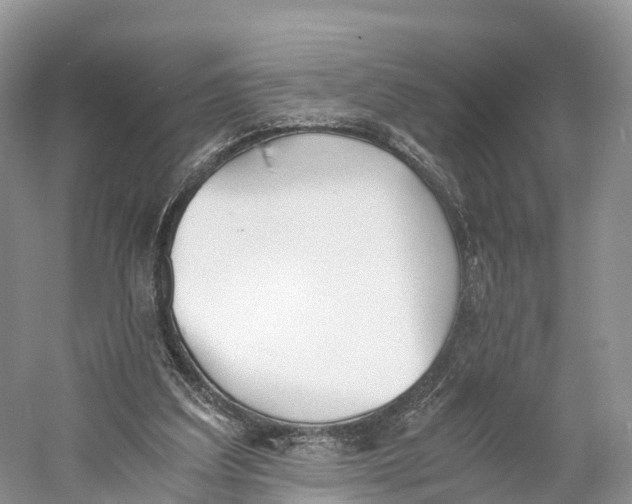 X0000060800203200512011742