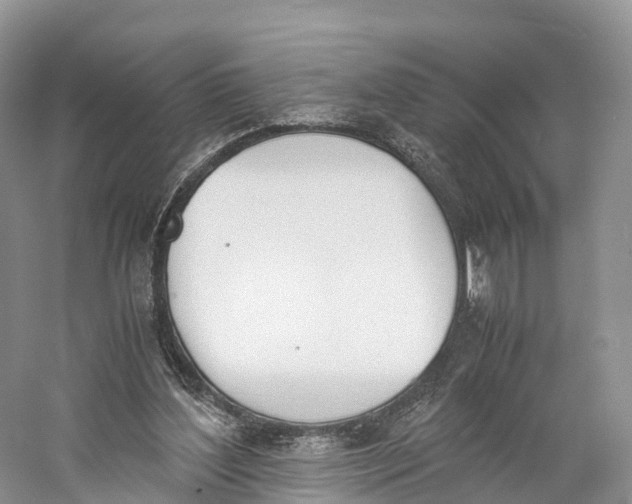 X0000060800204200512011742