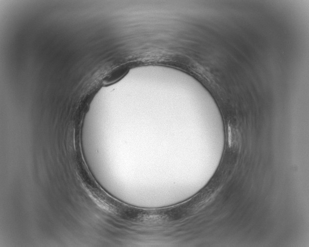 X0000060800205200512011742